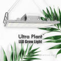 veg bloom horticultura indoor UV grow lights